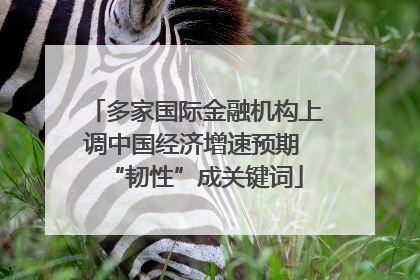 多家国际金融机构上调中国经济增速预期 “韧性”成关键词