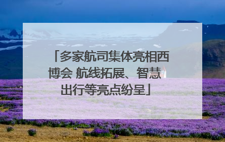 多家航司集体亮相西博会 航线拓展、智慧出行等亮点纷呈