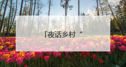 夜话乡村“新管家”