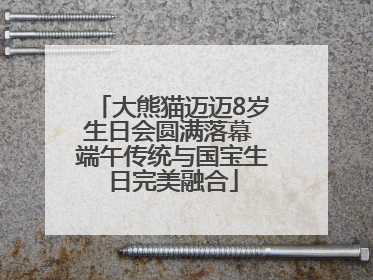 大熊猫迈迈8岁生日会圆满落幕 端午传统与国宝生日完美融合