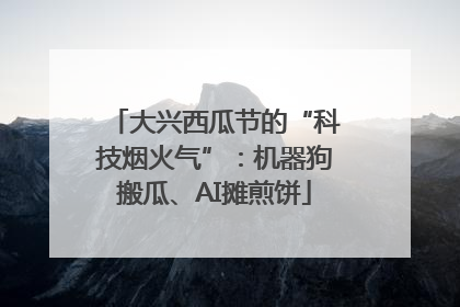 大兴西瓜节的“科技烟火气”：机器狗搬瓜、AI摊煎饼