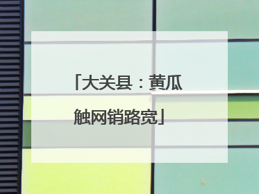 大关县：黄瓜触网销路宽