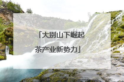大别山下崛起茶产业新势力