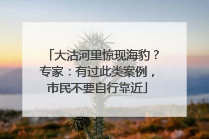 大沽河里惊现海豹？专家：有过此类案例，市民不要自行靠近