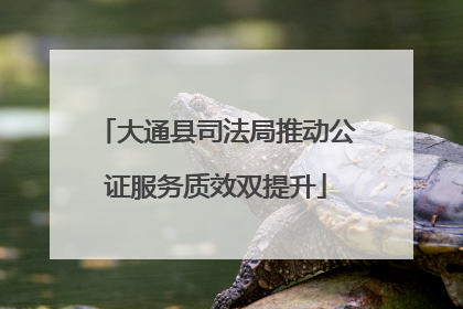 大通县司法局推动公证服务质效双提升