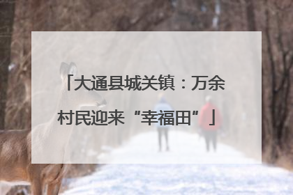 大通县城关镇：万余村民迎来“幸福田”