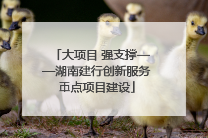大项目 强支撑——湖南建行创新服务重点项目建设