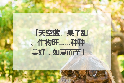 天空蓝、果子甜、作物旺……种种美好，如夏而至