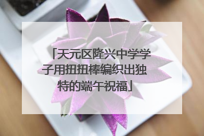 天元区隆兴中学学子用扭扭棒编织出独特的端午祝福