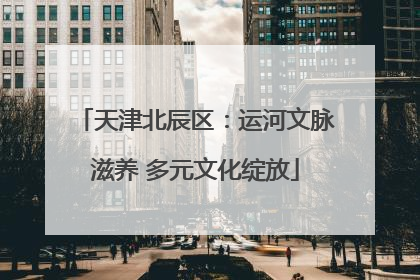 天津北辰区：运河文脉滋养 多元文化绽放