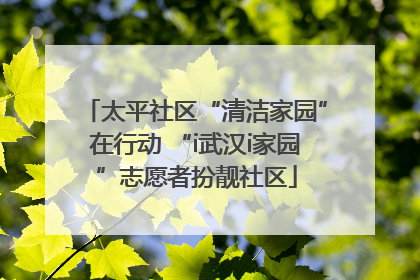 太平社区“清洁家园”在行动 “i武汉i家园”志愿者扮靓社区