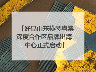 好品山东横琴粤澳深度合作区品牌出海中心正式启动
