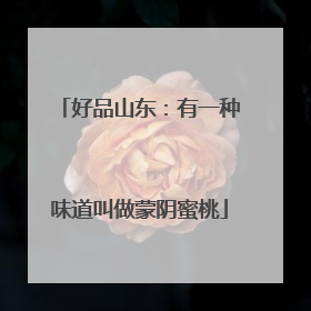 好品山东：有一种味道叫做蒙阴蜜桃