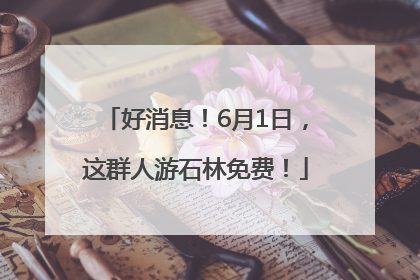 好消息！6月1日，这群人游石林免费！