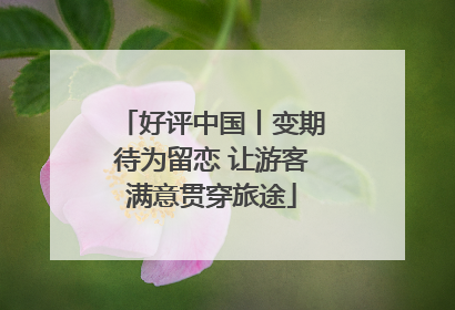好评中国丨变期待为留恋 让游客满意贯穿旅途
