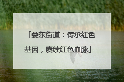 娄东街道：传承红色基因，赓续红色血脉