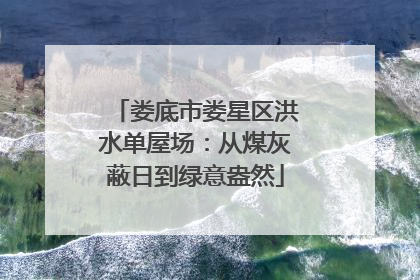娄底市娄星区洪水单屋场：从煤灰蔽日到绿意盎然