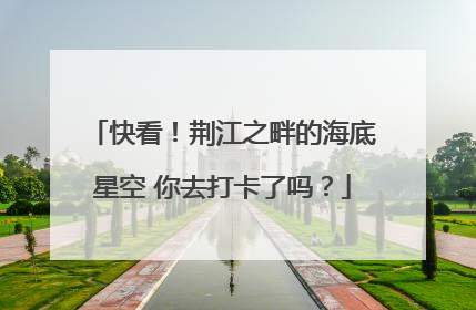 快看！荆江之畔的海底星空 你去打卡了吗？