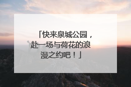 快来泉城公园，赴一场与荷花的浪漫之约吧！