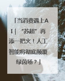 当消费遇上AI｜“苏超”再添一把火！人工智能将彻底颠覆绿茵场？