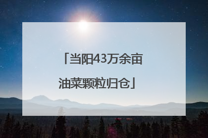当阳43万余亩油菜颗粒归仓