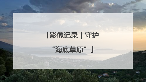 影像记录｜守护“海底草原”