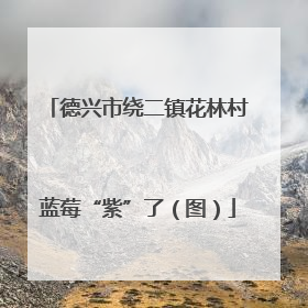 德兴市绕二镇花林村蓝莓“紫”了（图）