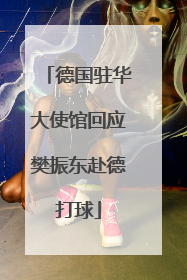 德国驻华大使馆回应樊振东赴德打球