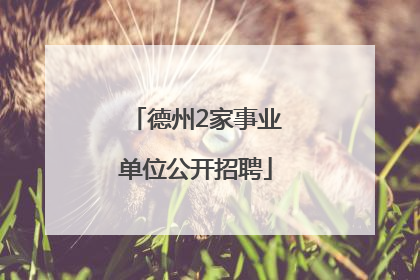 德州2家事业单位公开招聘