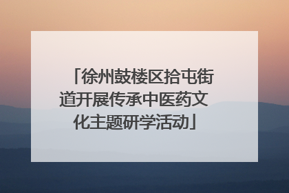 徐州鼓楼区拾屯街道开展传承中医药文化主题研学活动