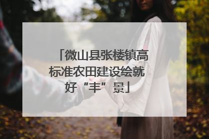 微山县张楼镇高标准农田建设绘就好“丰”景