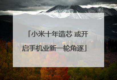 小米十年造芯 或开启手机业新一轮角逐