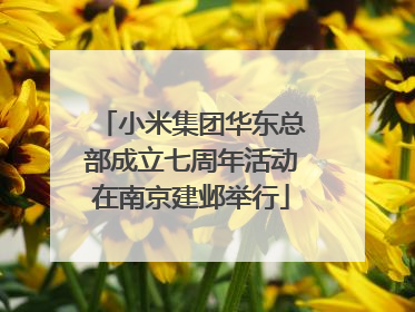 小米集团华东总部成立七周年活动在南京建邺举行