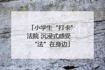 小学生“打卡”法院 沉浸式感受“法”在身边