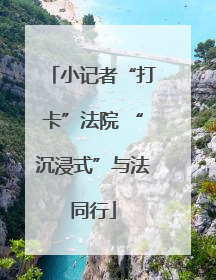 小记者“打卡”法院 “沉浸式”与法同行