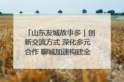 山东友城故事多｜创新交流方式 深化多元合作 聊城加速构建全球友城新格局
