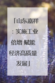 山东嘉祥：实施工业倍增 赋能经济高质量发展