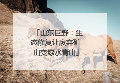 山东巨野：生态修复让废弃矿山变绿水青山