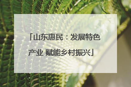 山东惠民：发展特色产业 赋能乡村振兴