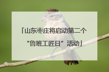 山东枣庄将启动第二个“鲁班工匠日”活动
