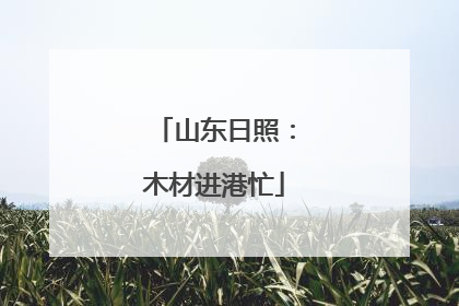 山东日照：木材进港忙