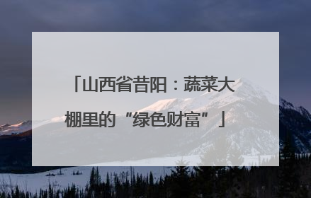 山西省昔阳：蔬菜大棚里的“绿色财富”
