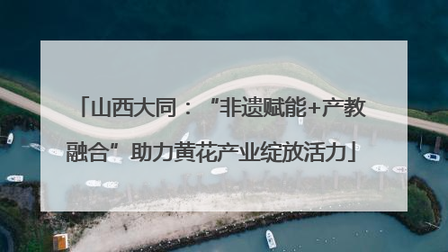 山西大同：“非遗赋能+产教融合”助力黄花产业绽放活力