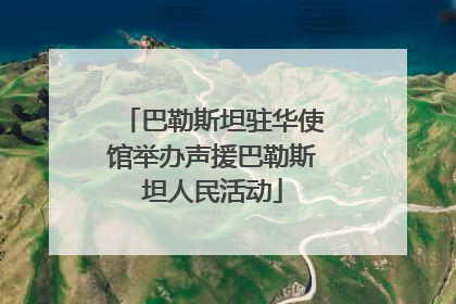 巴勒斯坦驻华使馆举办声援巴勒斯坦人民活动