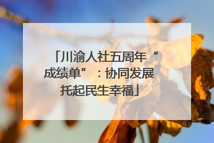 川渝人社五周年“成绩单”：协同发展托起民生幸福