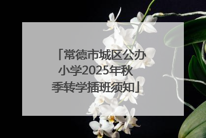 常德市城区公办小学2025年秋季转学插班须知