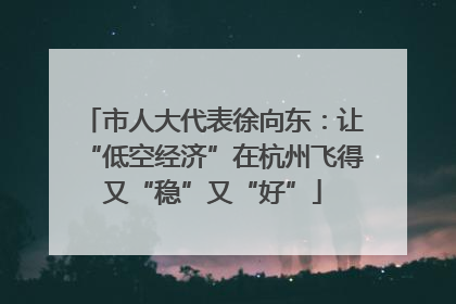 市人大代表徐向东：让“低空经济”在杭州飞得又“稳”又“好”