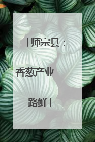 师宗县：香葱产业一路鲜