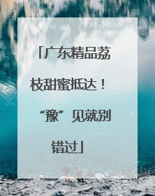 广东精品荔枝甜蜜抵达！“豫”见就别错过