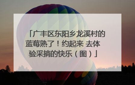 广丰区东阳乡龙溪村的蓝莓熟了！约起来 去体验采摘的快乐（图）